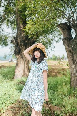 韶华若锦电视剧免费观看